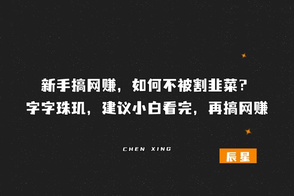 新手搞网赚，如何不被割韭菜？字字珠玑，建议小白看完，再搞网赚-辰星