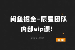 闲鱼掘金-内部vip课程-辰星
